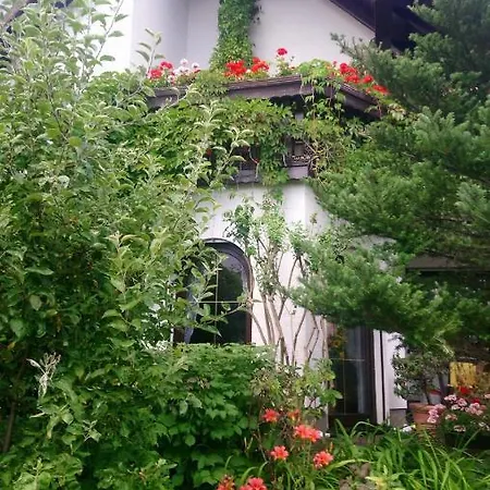 In 30354 Eibenstock