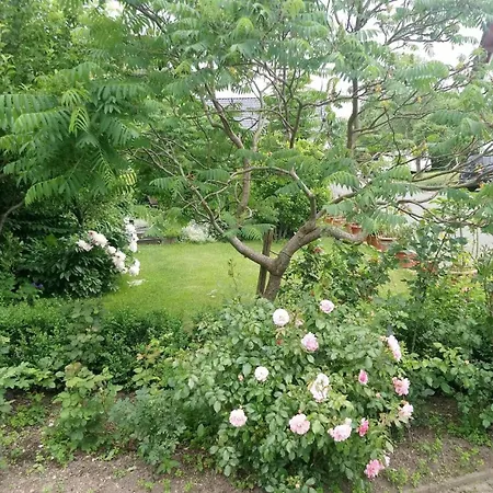 In 30354 Apartment Eibenstock