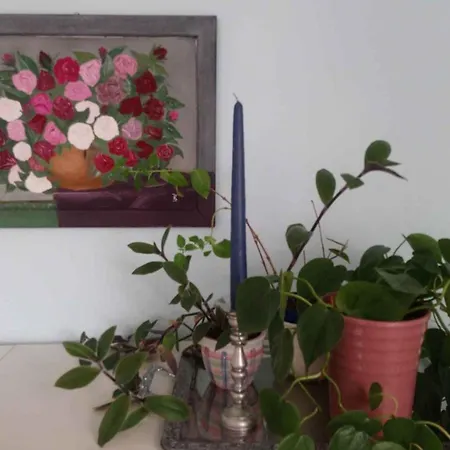 Appartement In 30354 Eibenstock