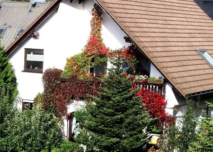 In 30354 * Eibenstock