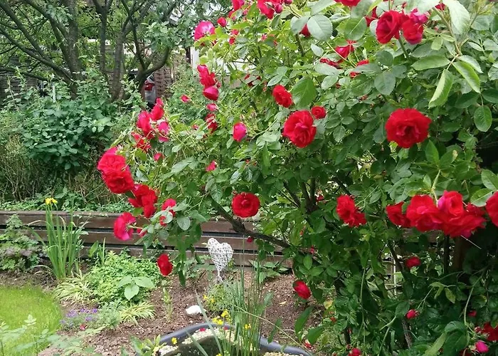 In 30354 Διαμέρισμα Eibenstock