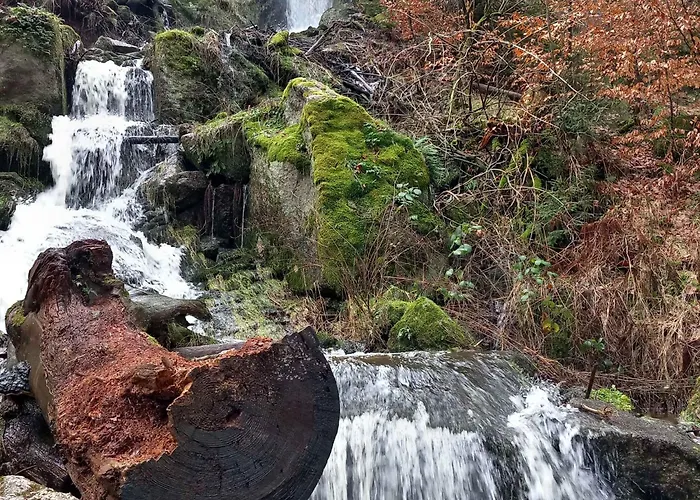 In 30354 Διαμέρισμα Eibenstock