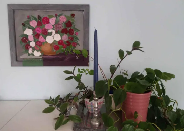 Διαμέρισμα In 30354 Eibenstock